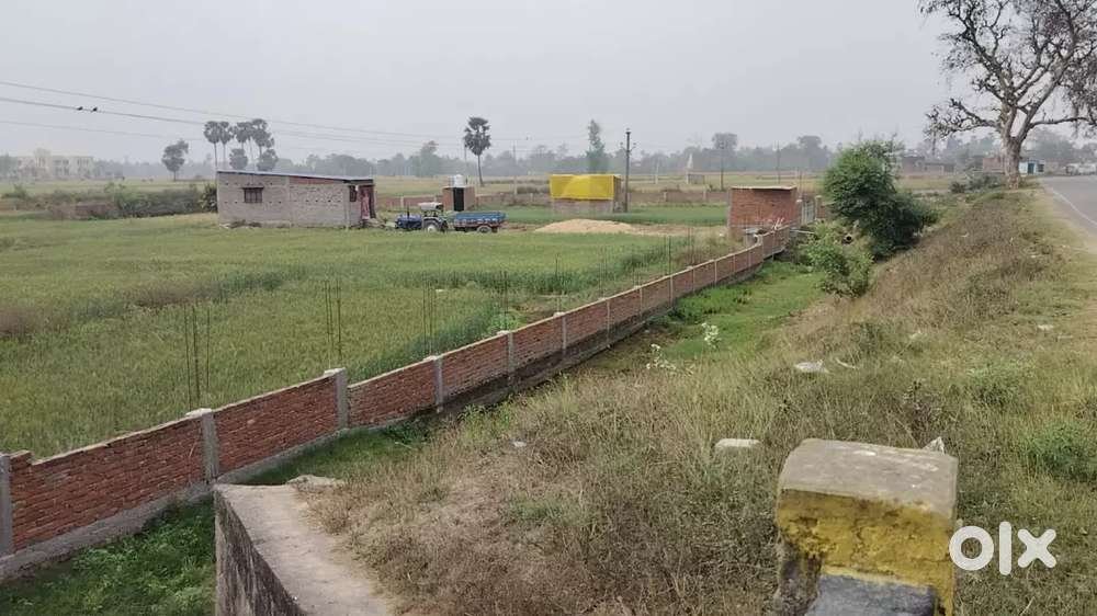 residential plot